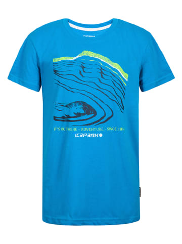 Icepeak Shirt "Millville" blauw