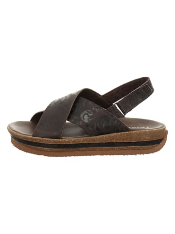 Think! Leder-Sandalen "Zega" in Braun