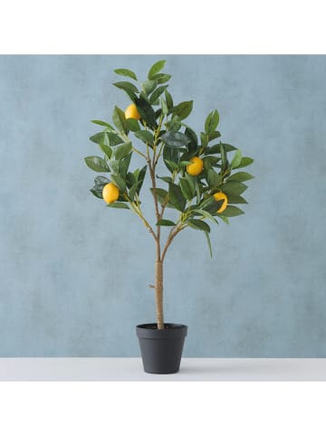 Boltze Topfpflanze "Zitronenbaum" in Grün - (B)30 x (H)73 x (T)20 cm