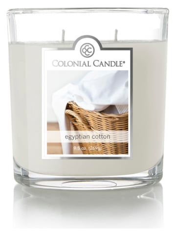 Colonial Candle Duftkerze "Egyptian Cotton" in Weiß - 269 g