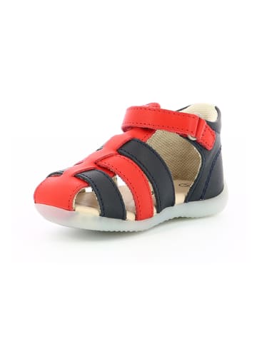 Kickers Leren enkelsandalen "Bigflo 2" donkerblauw/rood