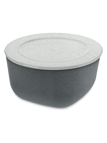koziol Frischhaltedose "Connect" in Anthrazit - 2 l