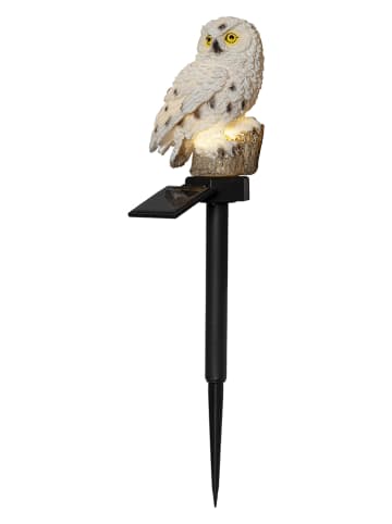 STAR Trading Ledsolartuinsteker "Owl" wit/zwart - (B)13 x (H)33 x (D)10 cm