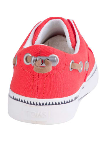 TOMS Sneakersy w kolorze czerwono-szarym