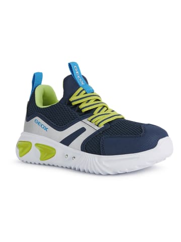 Geox Sneakers "Assister" in Dunkelblau