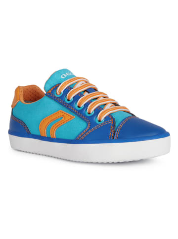 Geox Sneakers "Gisli" blauw/oranje