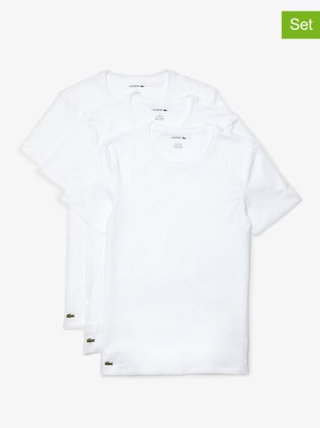 Lacoste 3er-Set: Shirts in Weiß