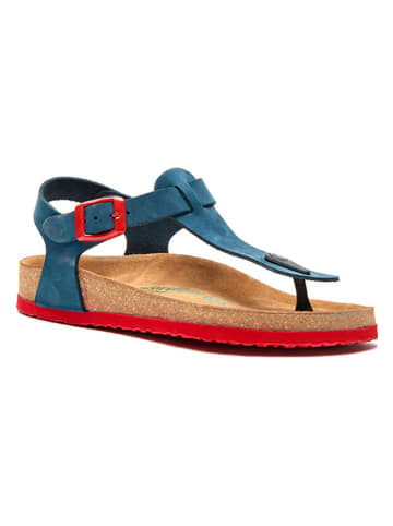 Comfortfusse Leder-Zehensandalen in Blau/ Rot