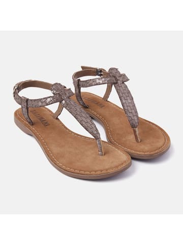 Lazamani Japonki w kolorze brązowym