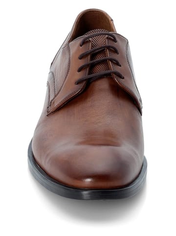 LLOYD Leder-Schnürschuhe "Lyra" in Braun