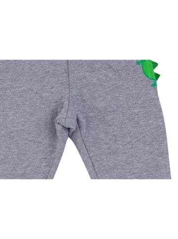 Regatta Sweathose in Grau