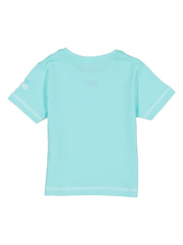 Regatta Shirt turquoise