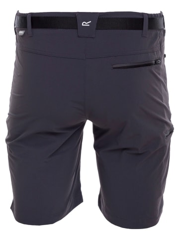 Regatta Funktionsshorts "Xert Str III" in Grau
