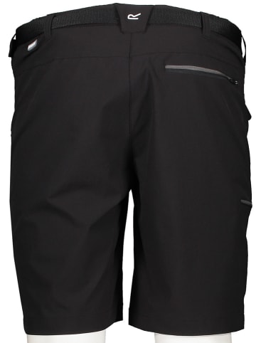 Regatta Functionele short "Xert Str III" zwart