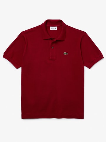 Lacoste Koszulka polo w kolorze czerwonym