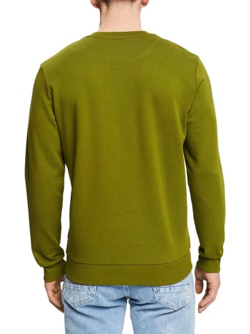 ESPRIT Sweatshirt in Grün