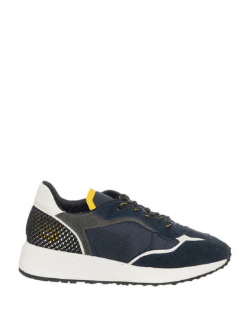 Cesare Paciotti Sneakers donkerblauw/grijs/geel