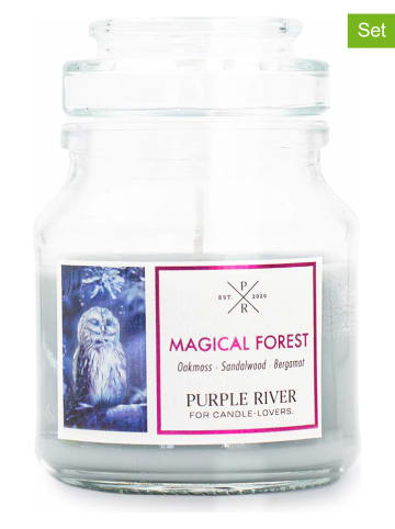 Purple River 2er-Set: Duftkerze "Magical Forest" - 113 g
