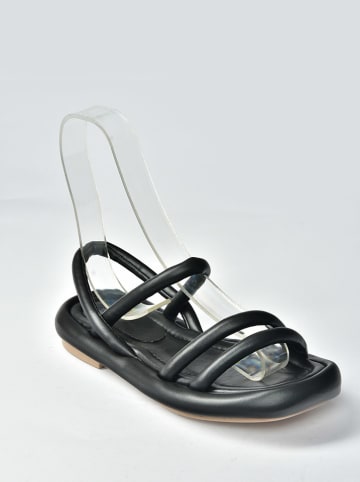 Fox Sandalen zwart