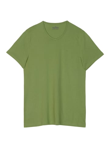 Palmers Shirt groen