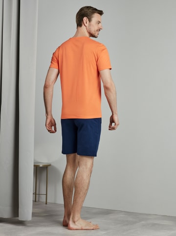 Palmers Shirt in Orange