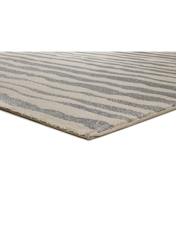 Atticgo Laagpolig tapijt grijs/meerkleurig