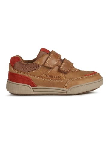 Geox Leder-Sneakers "Poseido" in Braun