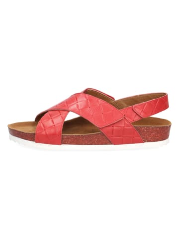Caprice Skórzane sandały "Sunset" w kolorze czerwonym