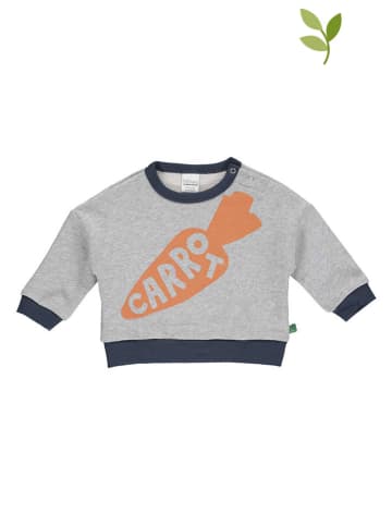 Fred´s World by GREEN COTTON Sweatshirt grijs/meerkleurig