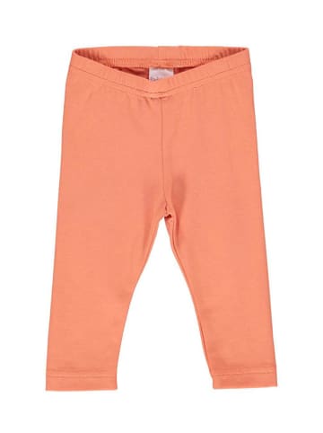 Fred´s World by GREEN COTTON Leggings in Orange