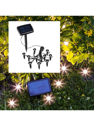 Garden Hero LED-Solar-Pflanzenstrahler in Schwarz
