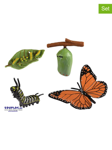 Eduplay Experimentierset "Lebenszyklen Schmetterling" - ab 3 Jahren