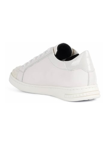 Geox Leren sneakers "Jaysen" wit