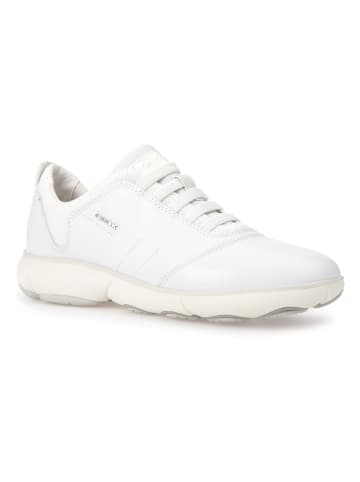 Geox Leren sneakers "Nebula" wit