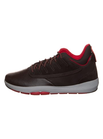 Geox Sneakers "Modual" donkerblauw