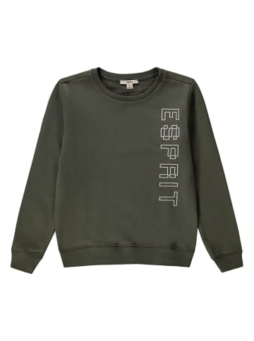 ESPRIT Sweatshirt kaki