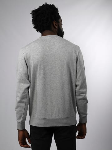 Diesel Clothes Sweatshirt in Grau