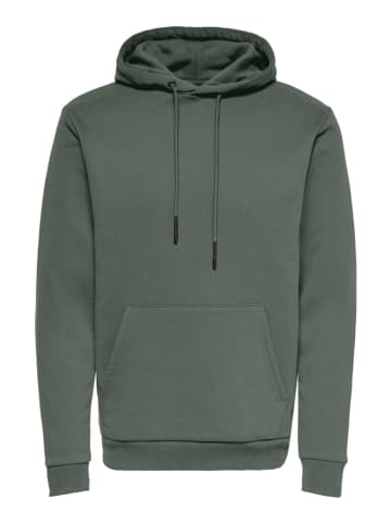 ONLY & SONS Hoodie "Ceres" in Grau