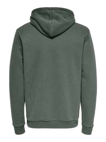 ONLY & SONS Hoodie "Ceres" in Grau