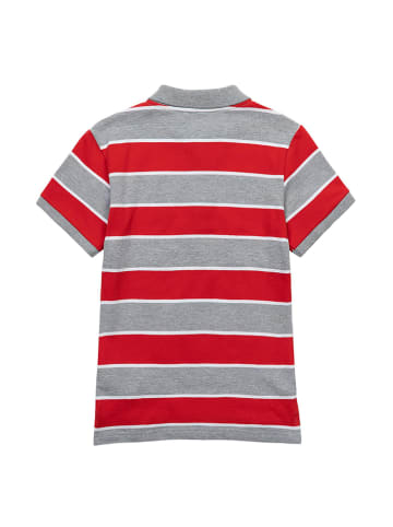 Minoti Koszulka polo w kolorze szaro-czerwonym