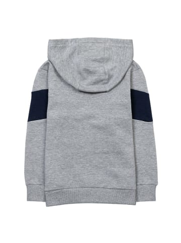 Minoti Hoodie in Grau