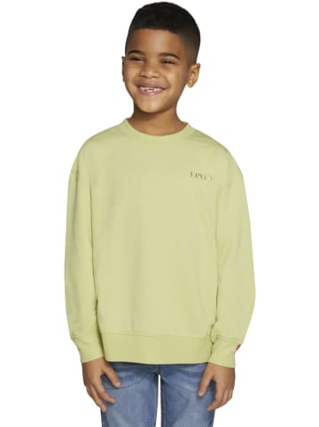 Levi's Kids Sweatshirt in Grün