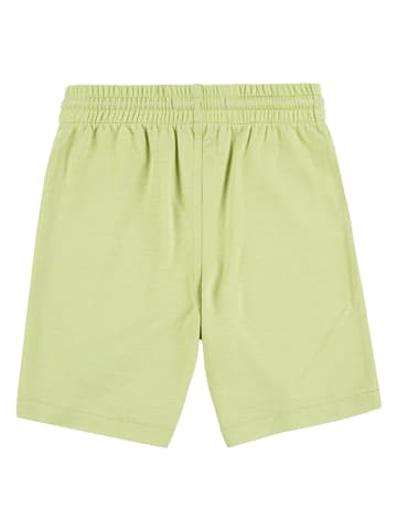 Levi's Kids Sweatshort groen