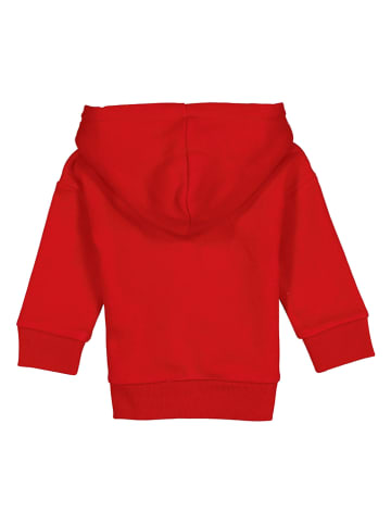 GAP Bluza w kolorze czerwonym