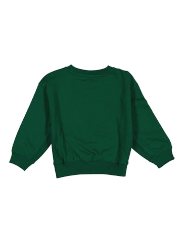 GAP Sweatshirt in Grün