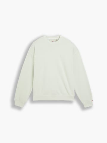Levi´s Sweatshirt in Mint