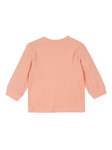 loud + proud Sweatshirt in Apricot