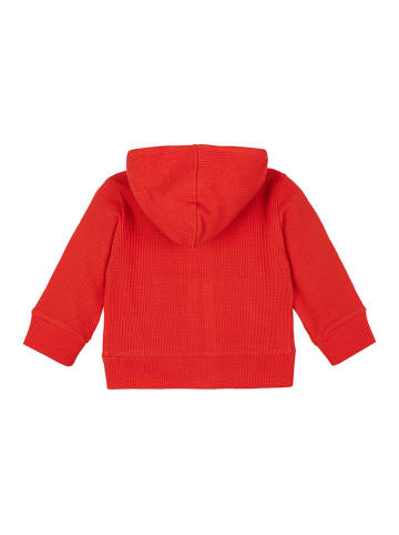 loud + proud Bluza w kolorze czerwonym