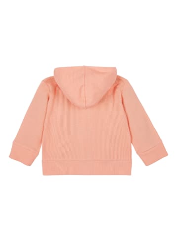 loud + proud Sweatjacke in Apricot