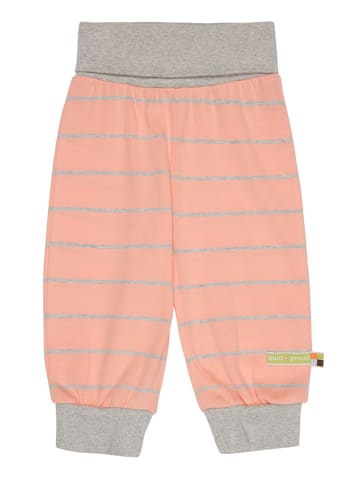 loud + proud Spodnie dresowe w kolorze brzoskwiniowym